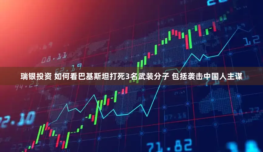 瑞银投资 如何看巴基斯坦打死3名武装分子 包括袭击中国人主谋