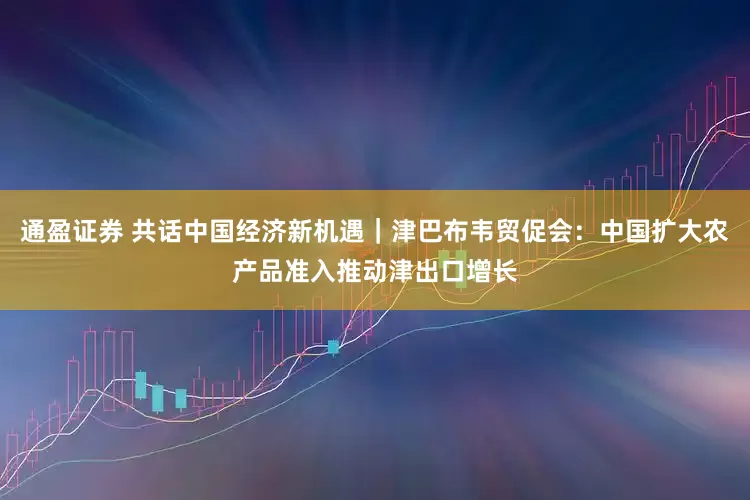 通盈证券 共话中国经济新机遇｜津巴布韦贸促会：中国扩大农产品准入推动津出口增长
