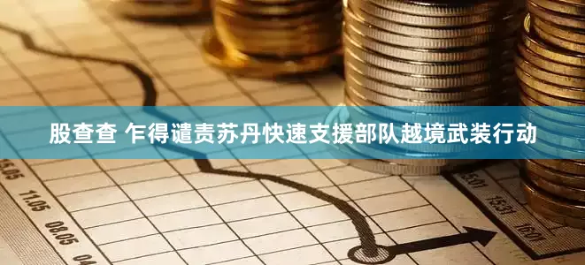股查查 乍得谴责苏丹快速支援部队越境武装行动