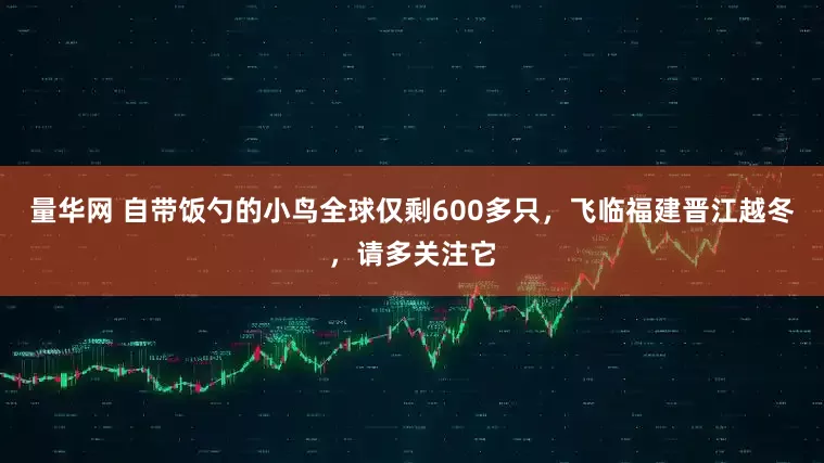 量华网 自带饭勺的小鸟全球仅剩600多只，飞临福建晋江越冬，请多关注它